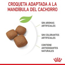 Royal Canin Giant Junior | Cachorros Gigantes 8–24 Meses - Desarrollo Muscular y Articular