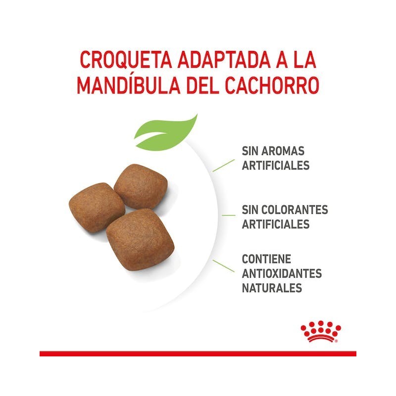 Royal Canin Giant Junior | Cachorros Gigantes 8–24 Meses - Desarrollo Muscular y Articular