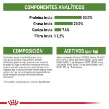 Royal Canin Outdoor 30 – Pienso para Gatos Adultos Activos y de Exterior