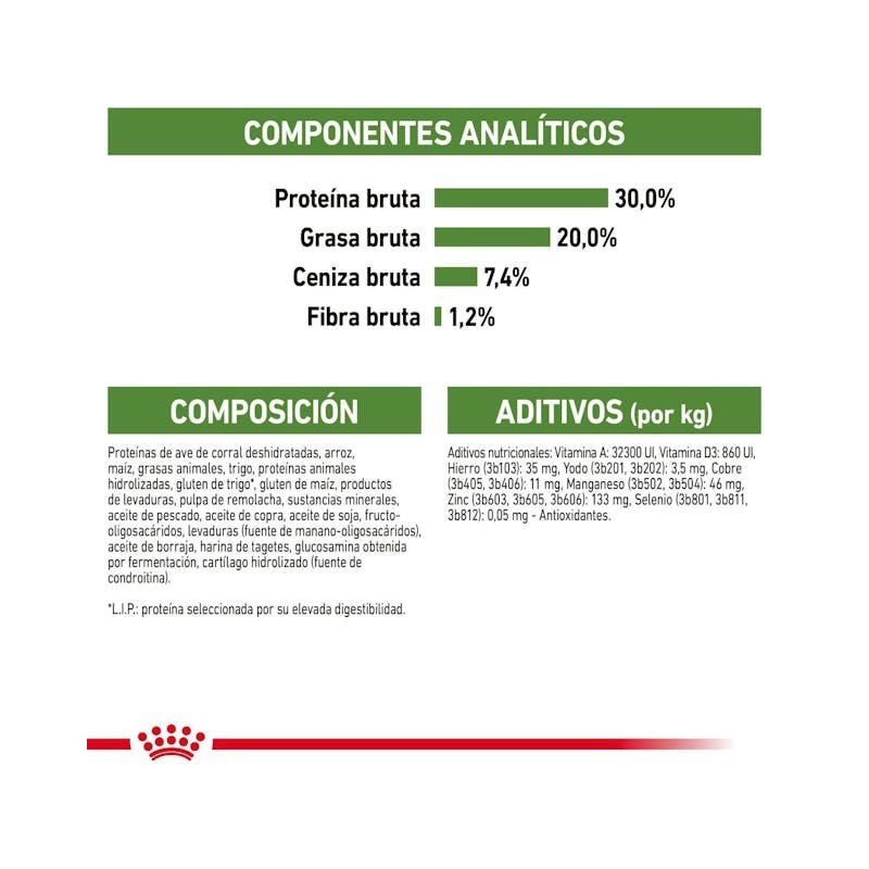 Royal Canin Outdoor 30 – Pienso para Gatos Adultos Activos y de Exterior