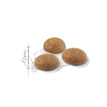 Royal Canin Outdoor 30 – Pienso para Gatos Adultos Activos y de Exterior