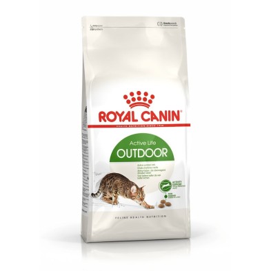 Royal Canin Outdoor 30 – Pienso para Gatos Adultos Activos y de Exterior