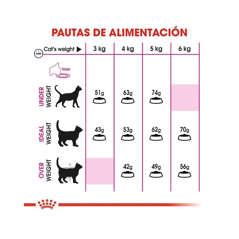 Royal Canin Savour Exigent – Pienso para Gatos Exigentes con Preferencias de Textura y Sabor