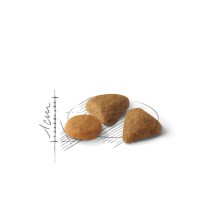 Royal Canin Savour Exigent – Pienso para Gatos Exigentes con Preferencias de Textura y Sabor
