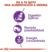 Royal Canin Sensible 33 – Pienso para Gatos con Digestión Sensible