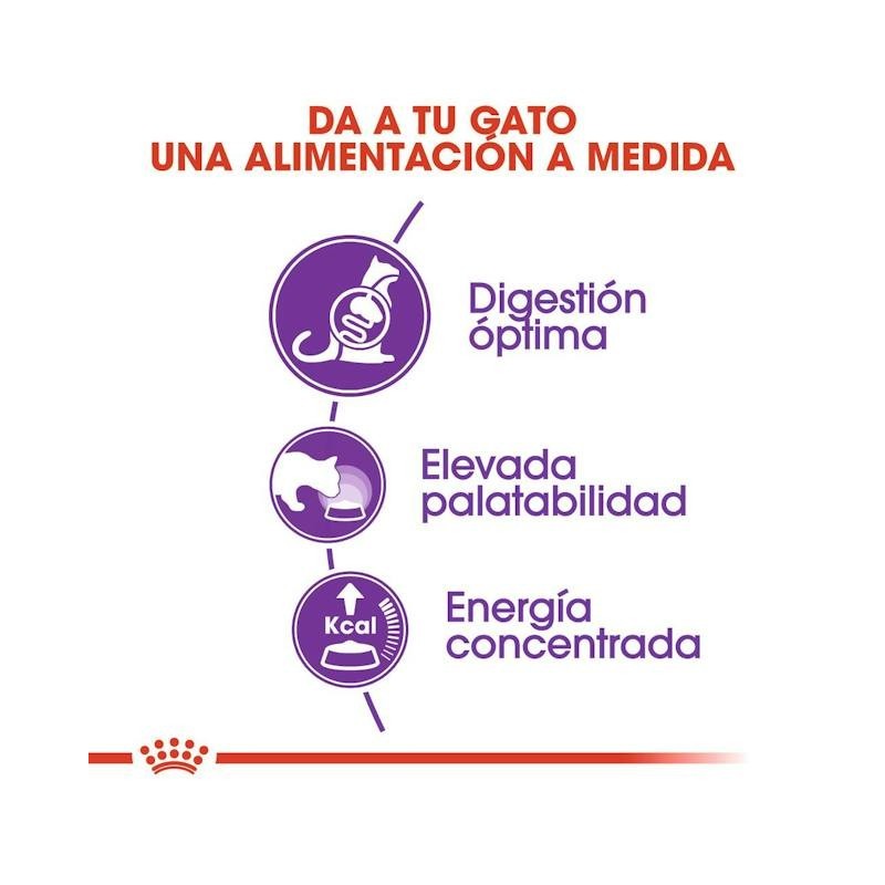 Royal Canin Sensible 33 – Pienso para Gatos con Digestión Sensible