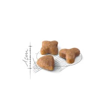 Royal Canin Sensible 33 – Pienso para Gatos con Digestión Sensible