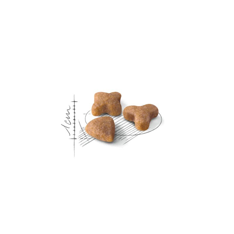 Royal Canin Sensible 33 – Pienso para Gatos con Digestión Sensible