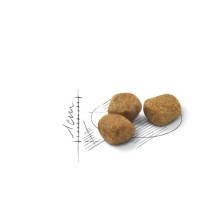 Royal Canin Indoor 7+ – Pienso para Gatos de Interior Mayores de 7 Años