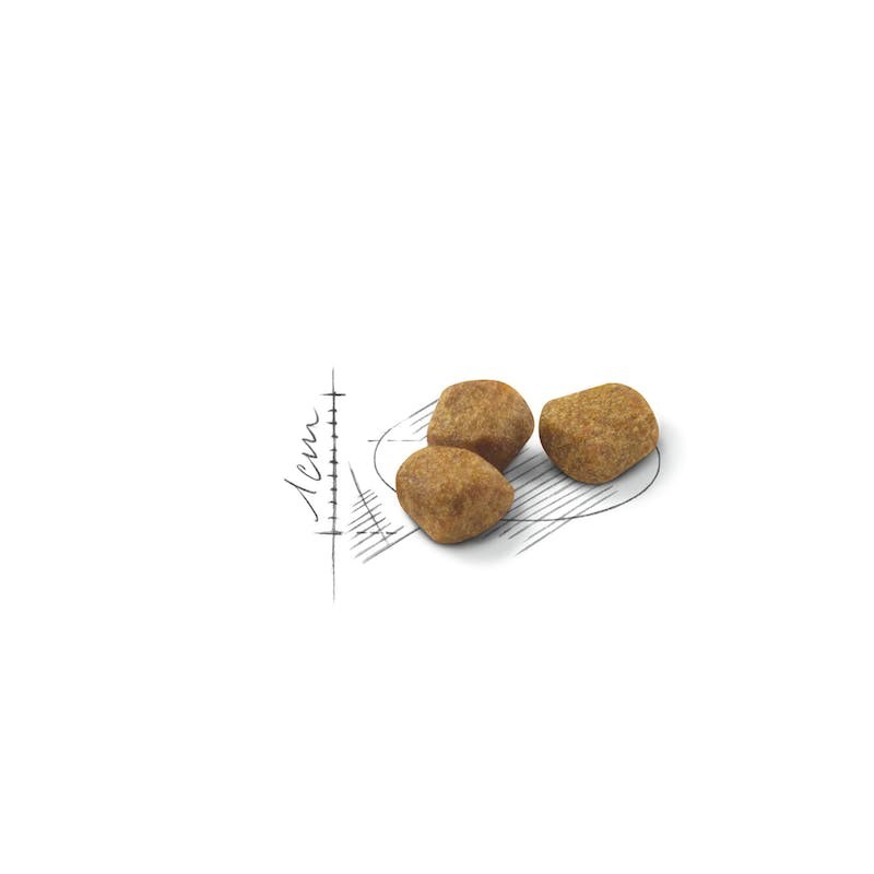 Royal Canin Indoor 7+ – Pienso para Gatos de Interior Mayores de 7 Años