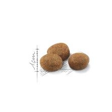 Royal Canin Sterilised 7+ – Pienso para Gatos Esterilizados +7 Años