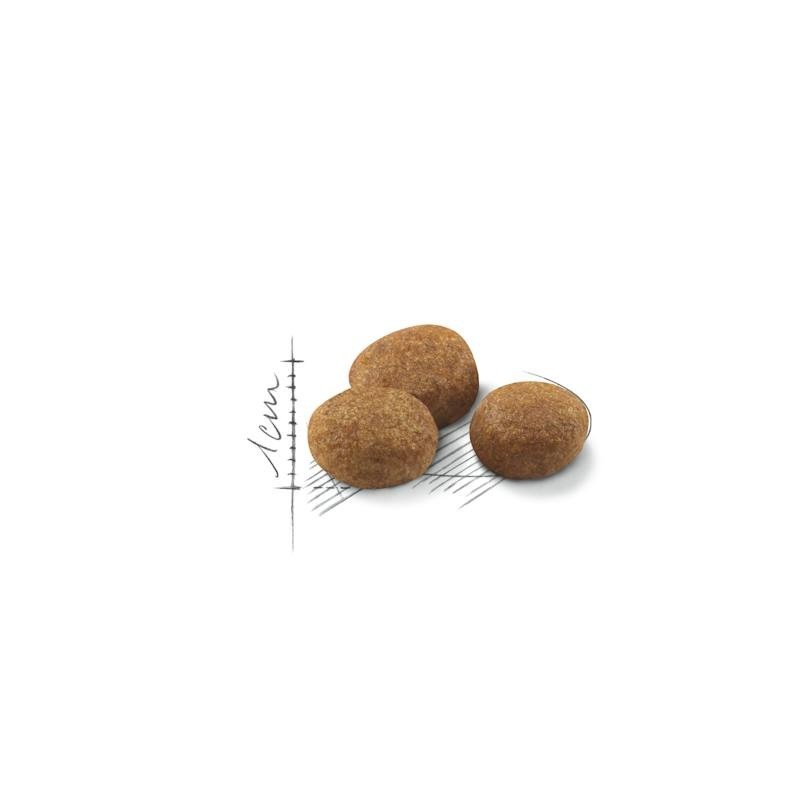 Royal Canin Sterilised 7+ – Pienso para Gatos Esterilizados +7 Años