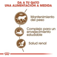 Royal Canin Ageing Sterilised 12+ – Pienso para Gatos Esterilizados Senior