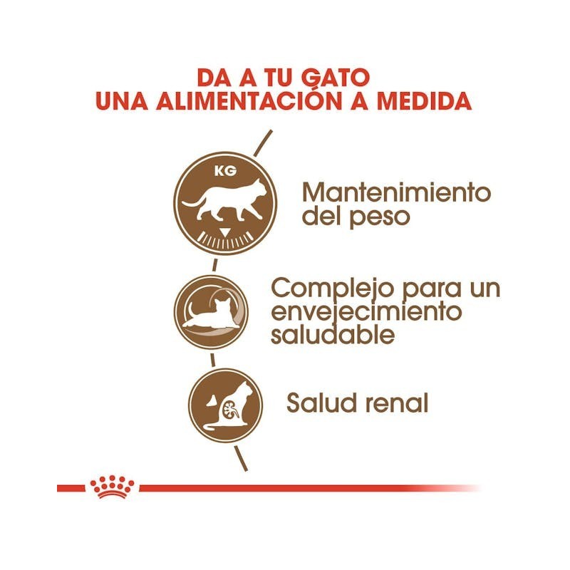 Royal Canin Ageing Sterilised 12+ – Pienso para Gatos Esterilizados Senior