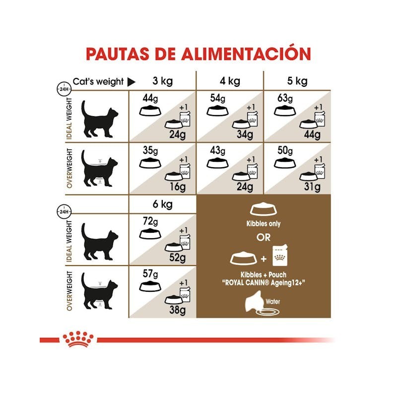 Royal Canin Ageing Sterilised 12+ – Pienso para Gatos Esterilizados Senior