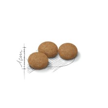 Royal Canin Ageing Sterilised 12+ – Pienso para Gatos Esterilizados Senior