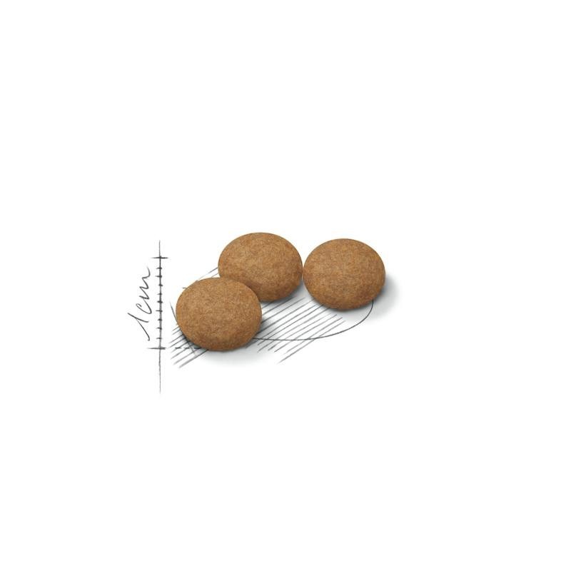 Royal Canin Ageing Sterilised 12+ – Pienso para Gatos Esterilizados Senior