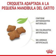 Royal Canin Kitten Sterilised – Pienso Especial para Gatitos Esterilizados de 4 a 12 Meses