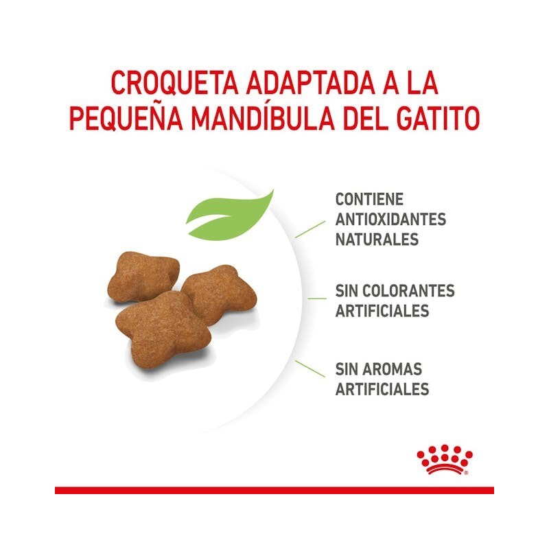 Royal Canin Kitten Sterilised – Pienso Especial para Gatitos Esterilizados de 4 a 12 Meses