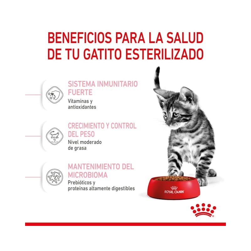 Royal Canin Kitten Sterilised – Pienso Especial para Gatitos Esterilizados de 4 a 12 Meses