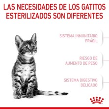 Royal Canin Kitten Sterilised – Pienso Especial para Gatitos Esterilizados de 4 a 12 Meses