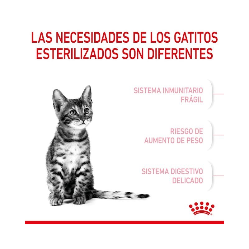 Royal Canin Kitten Sterilised – Pienso Especial para Gatitos Esterilizados de 4 a 12 Meses