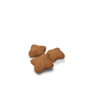 Royal Canin Kitten Sterilised – Pienso Especial para Gatitos Esterilizados de 4 a 12 Meses