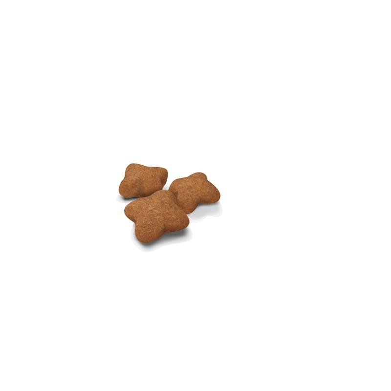 Royal Canin Kitten Sterilised – Pienso Especial para Gatitos Esterilizados de 4 a 12 Meses