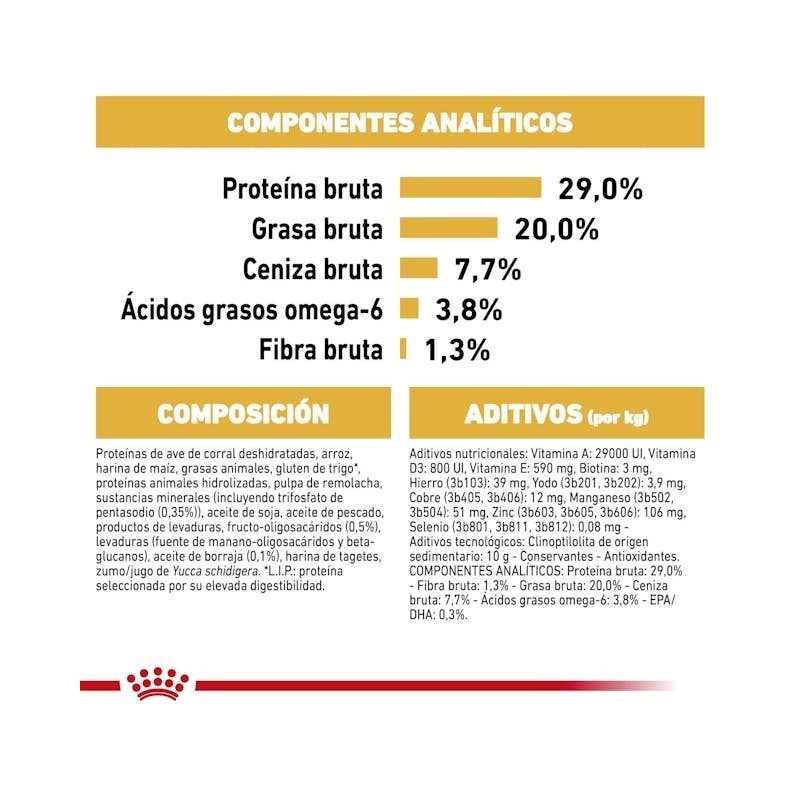Royal Canin Yorkshire Puppy | Pienso Especial para Cachorros Yorkshire - Pelo, Defensas y Digestión
