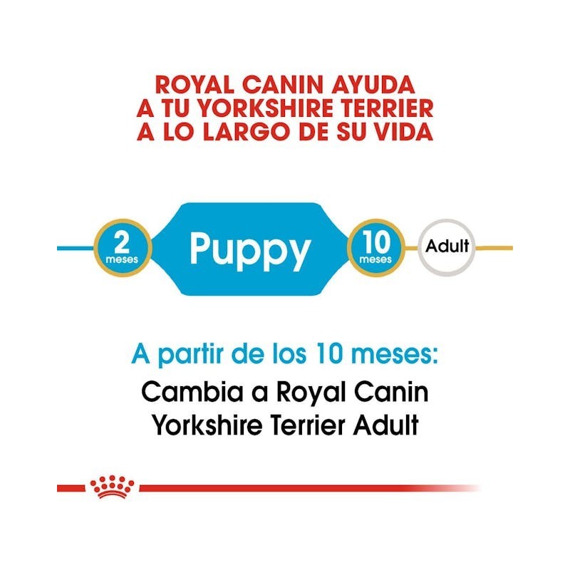 Royal Canin Yorkshire Puppy | Pienso Especial para Cachorros Yorkshire - Pelo, Defensas y Digestión