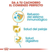 Royal Canin Yorkshire Puppy | Pienso Especial para Cachorros Yorkshire - Pelo, Defensas y Digestión