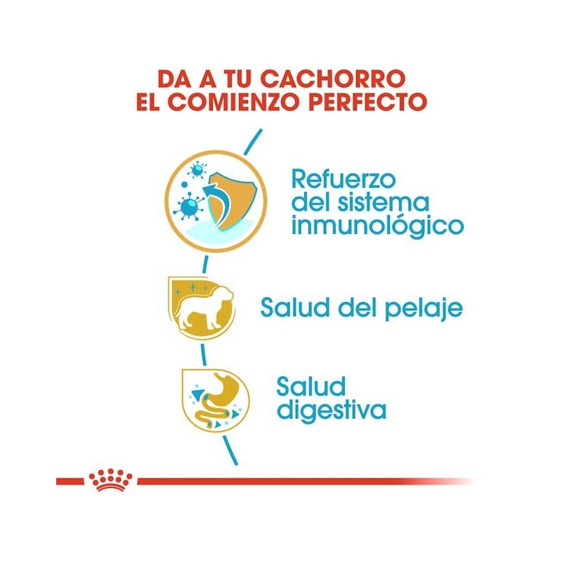 Royal Canin Yorkshire Puppy | Pienso Especial para Cachorros Yorkshire - Pelo, Defensas y Digestión
