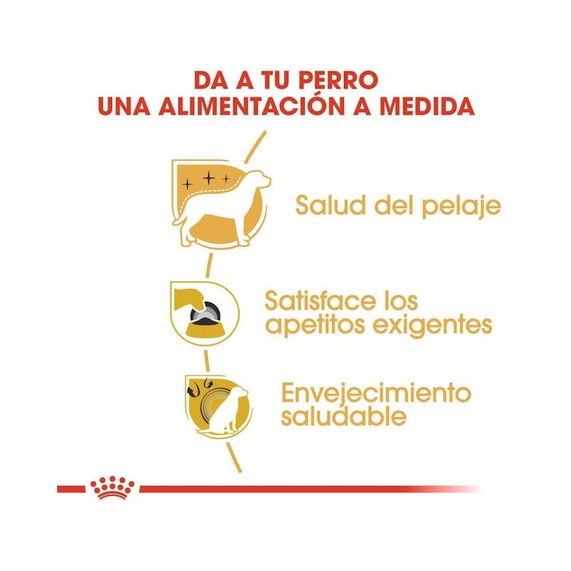 Royal Canin Yorkshire Terrier Adult | Nutrición para Pelo, Paladar y Longevidad