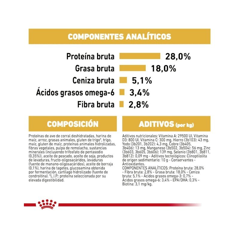 Royal Canin Yorkshire Terrier Adult | Nutrición para Pelo, Paladar y Longevidad
