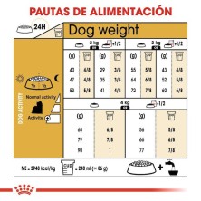 Royal Canin Yorkshire Terrier Adult | Nutrición para Pelo, Paladar y Longevidad