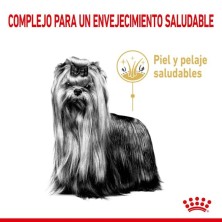 Royal Canin Yorkshire Adult 8+ | Senior +8 Años – Vitalidad, Articulaciones y Pelo Sano