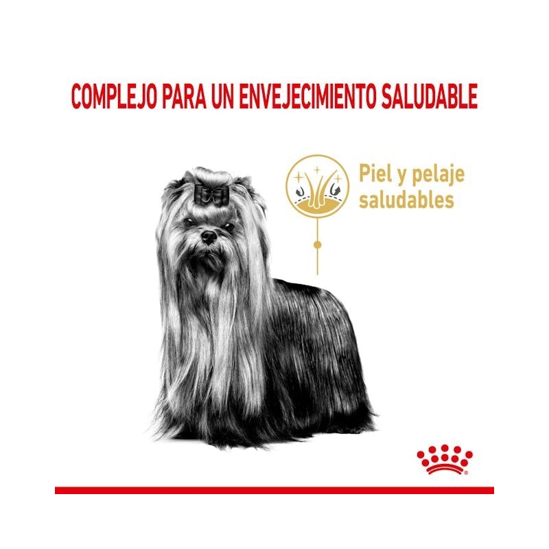 Royal Canin Yorkshire Adult 8+ | Senior +8 Años – Vitalidad, Articulaciones y Pelo Sano