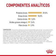 Royal Canin Yorkshire Adult 8+ | Senior +8 Años – Vitalidad, Articulaciones y Pelo Sano