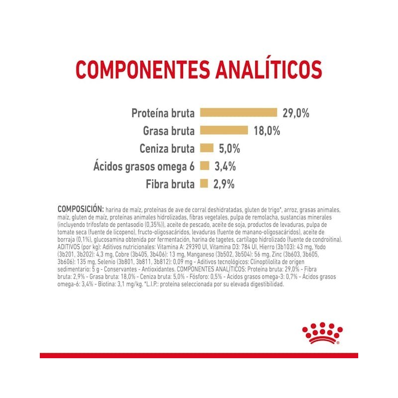 Royal Canin Yorkshire Adult 8+ | Senior +8 Años – Vitalidad, Articulaciones y Pelo Sano