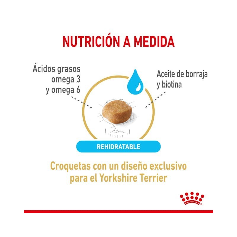 Royal Canin Yorkshire Adult 8+ | Senior +8 Años – Vitalidad, Articulaciones y Pelo Sano