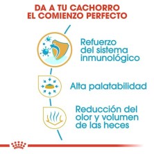 Royal Canin Chihuahua Puppy | Pienso para Cachorros – Defensas, Pelaje y Palatabilidad
