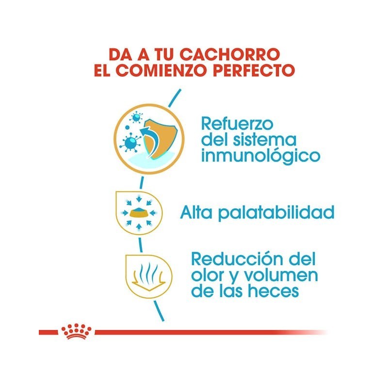 Royal Canin Chihuahua Puppy | Pienso para Cachorros – Defensas, Pelaje y Palatabilidad
