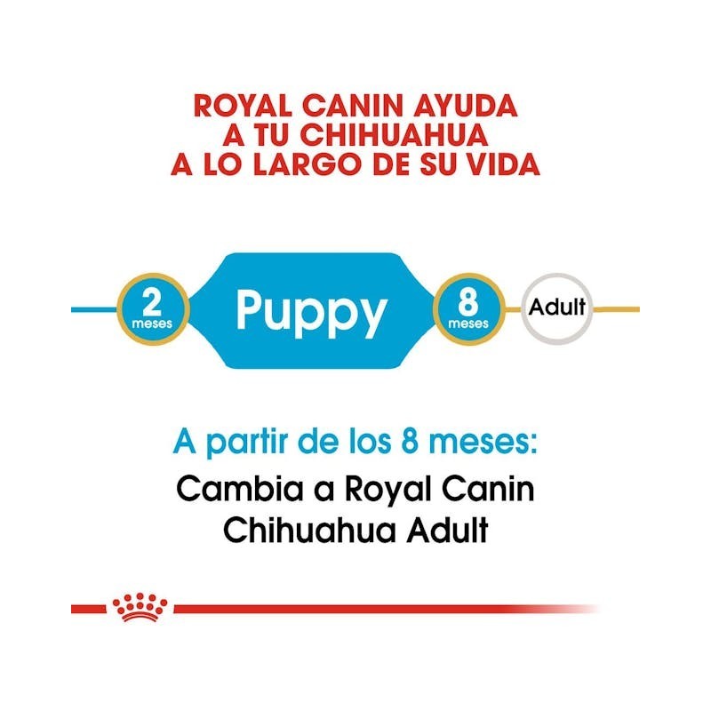 Royal Canin Chihuahua Puppy | Pienso para Cachorros – Defensas, Pelaje y Palatabilidad