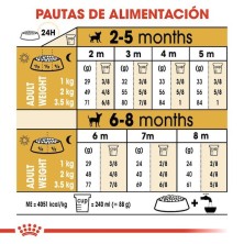 Royal Canin Chihuahua Puppy | Pienso para Cachorros – Defensas, Pelaje y Palatabilidad