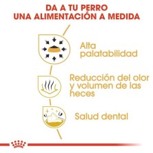 Royal Canin Chihuahua Adult | Nutrición Especial para Adultos – Paladar Exigente, Pelo y Digestión