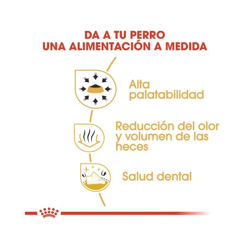 Royal Canin Chihuahua Adult | Nutrición Especial para Adultos – Paladar Exigente, Pelo y Digestión