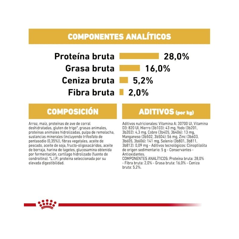 Royal Canin Chihuahua Adult | Nutrición Especial para Adultos – Paladar Exigente, Pelo y Digestión
