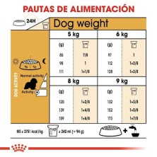 Royal Canin Cavalier King Charles Adult | Pienso Especializado para Perros de Raza