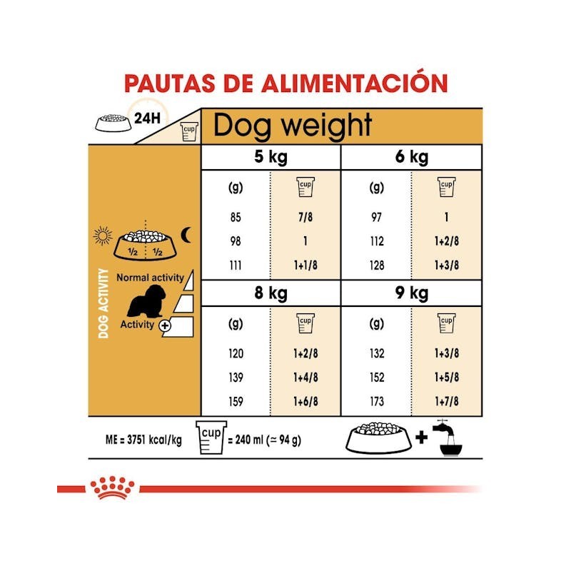 Royal Canin Cavalier King Charles Adult | Pienso Especializado para Perros de Raza