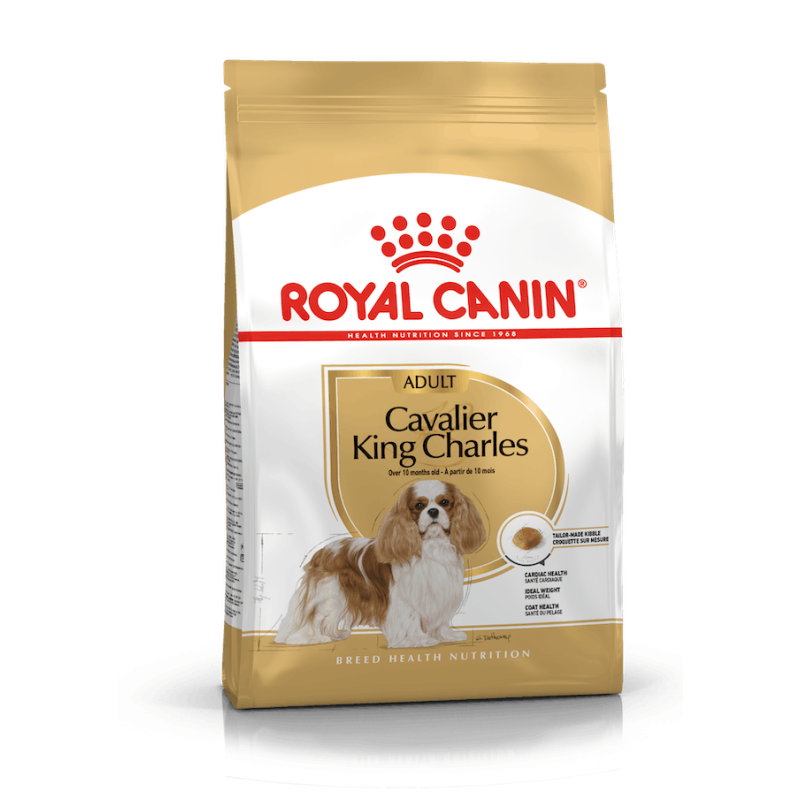 Royal Canin Cavalier King Charles Adult | Pienso Especializado para Perros de Raza